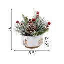  Xmas Mix in 4.25" White Reverse Tree Planter 