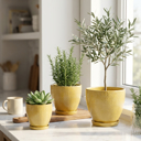  Set of 3 Hiero Planters w/ Saucer 