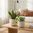  Set of 2 White & Black Geo Print Planter