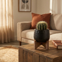  3.5" Caveman Planter