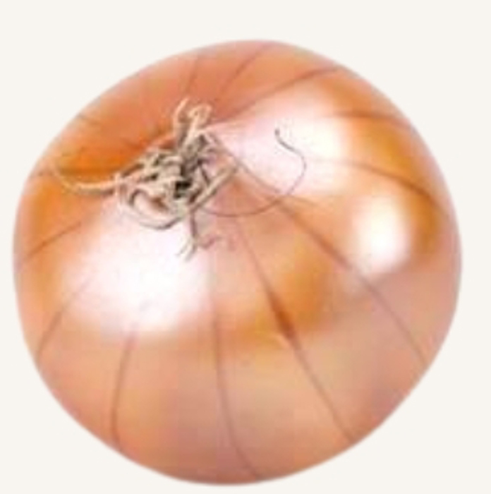 Artificial Onion (NAT)