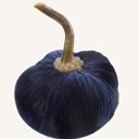 Blue 6" Large Velvet Pumpkin