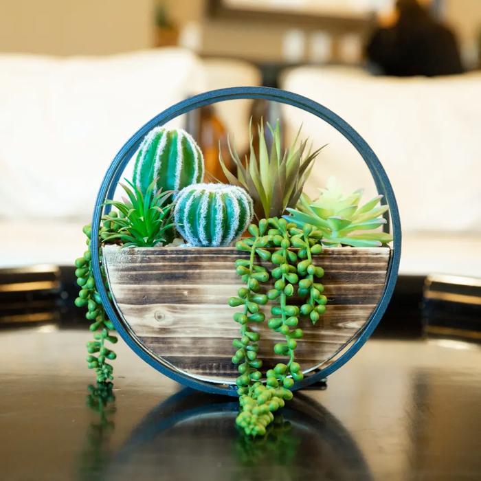 Succulent Mix in Round Hanging Planter