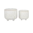  Set of 2, 6" & 4.75" Dandelion Footed Ceramic Pots 