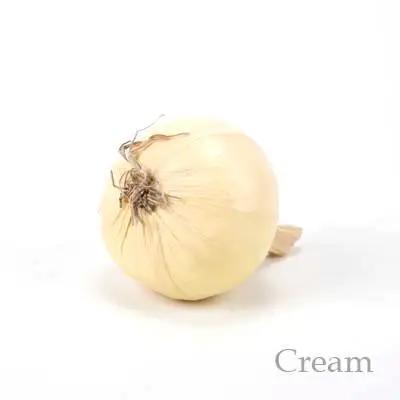 Artificial Onion (CRM)