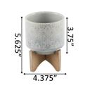  4.25" Star Planter on Stand