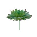 Green Artificial Irish Mint Succulent with Stem
