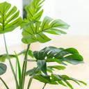  32" Split-leaf in 8" Raindrop Planter