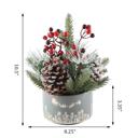  Xmas Mix in 5" Gray Cityscape Planter
