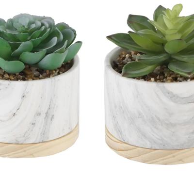 Set of 2 Succulents in Marble Planter
