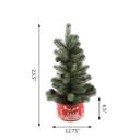  24" Xmas Tree in 7" Cityscape Planter