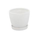  5.8" Cathedral Pot with Saucer