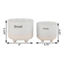  Set of 2 Dream Footed Planters