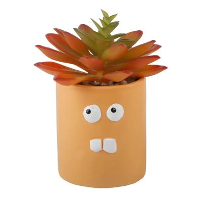 Crazy Eyes Planter with Succulent