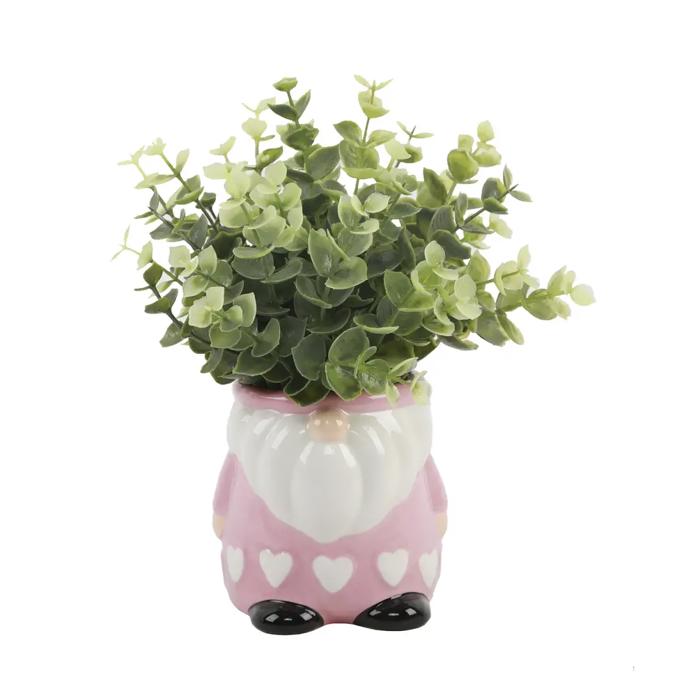 Eucalyptus in Hearts Gnome