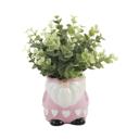  Eucalyptus in Hearts Gnome