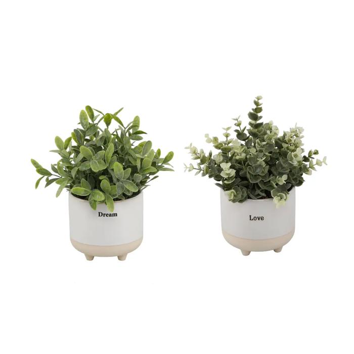 Set of 2 Laugh & Dream Planters