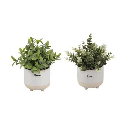 Set of 2 Laugh & Dream Planters