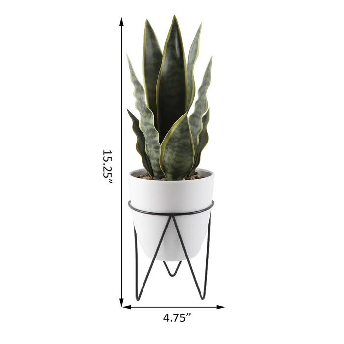  15.25" Snake Plant in Planter with Metal Stand