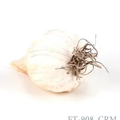 Artificial Garlic