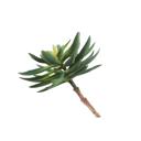  Artificial Aloe Succulent with Stem