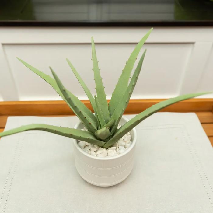 Faux Aloe Plant in White Ceramic Pot – 10.75 Inch Accent
