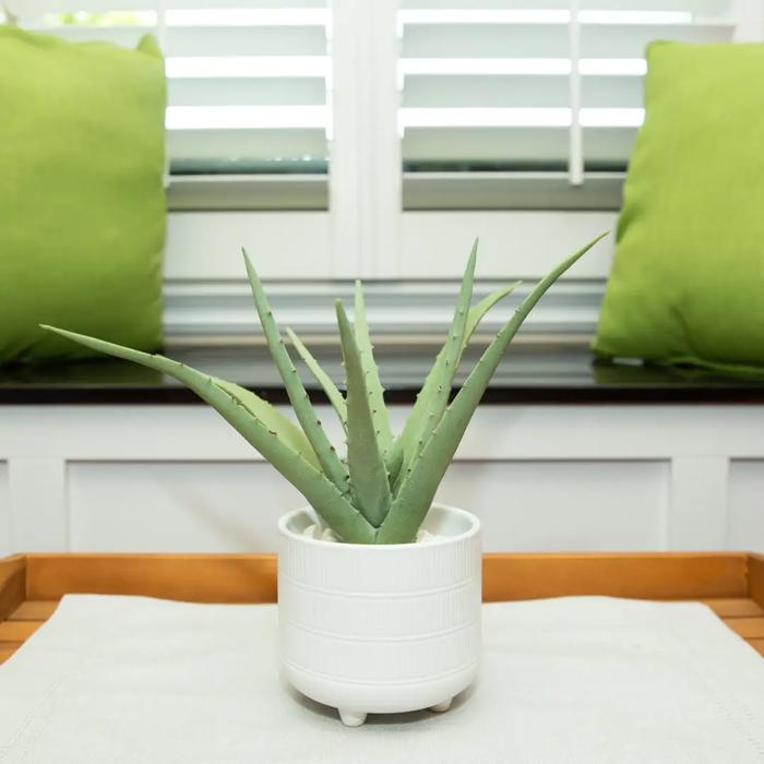 Faux Aloe Plant in White Ceramic Pot – 10.75 Inch Accent