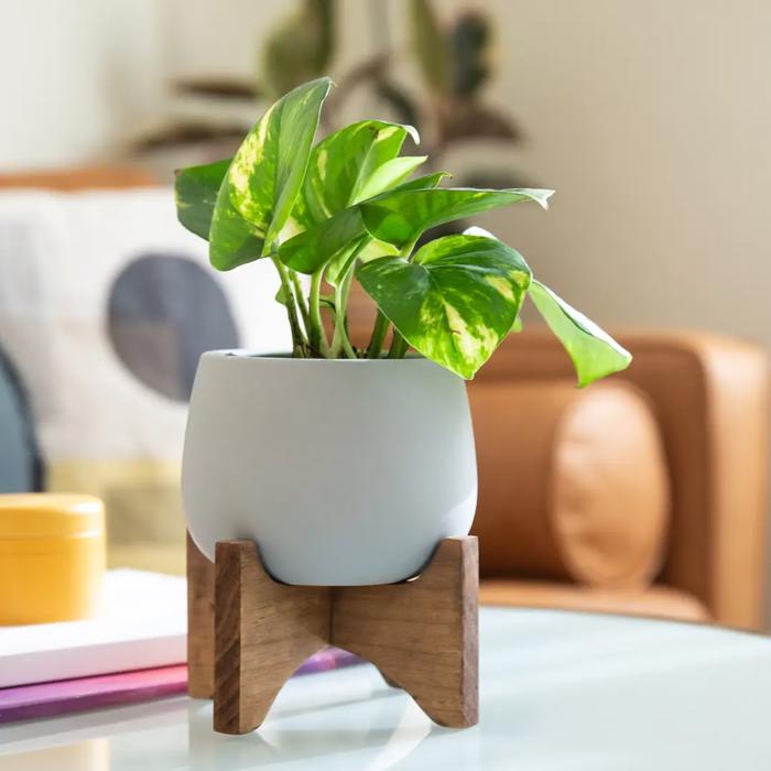 4.8" Soft Touch Planter