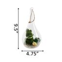  Hanging Bunny Terrarium with Faux Succulent