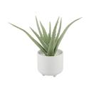  Faux Aloe Plant in White Ceramic Pot – 10.75 Inch Accent