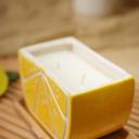  Black Textured Zig-Zag Ceramic Pot - Lemon