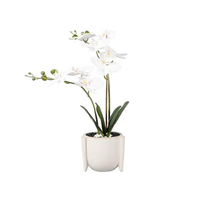18"H Real-touch Orchids in 6" Ceramic Planter