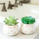  Set of 2 Gold Geo Round Planters