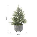  19" Frosted Tree in Snowflake Planter