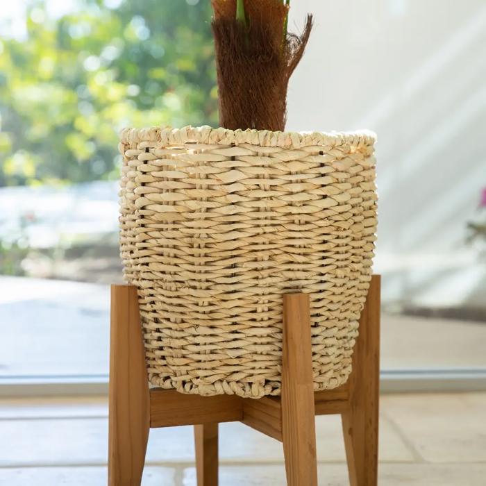 45" Palm in 10" Basket