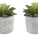  Set of 2 Succulents in Pattern Cement Planters
