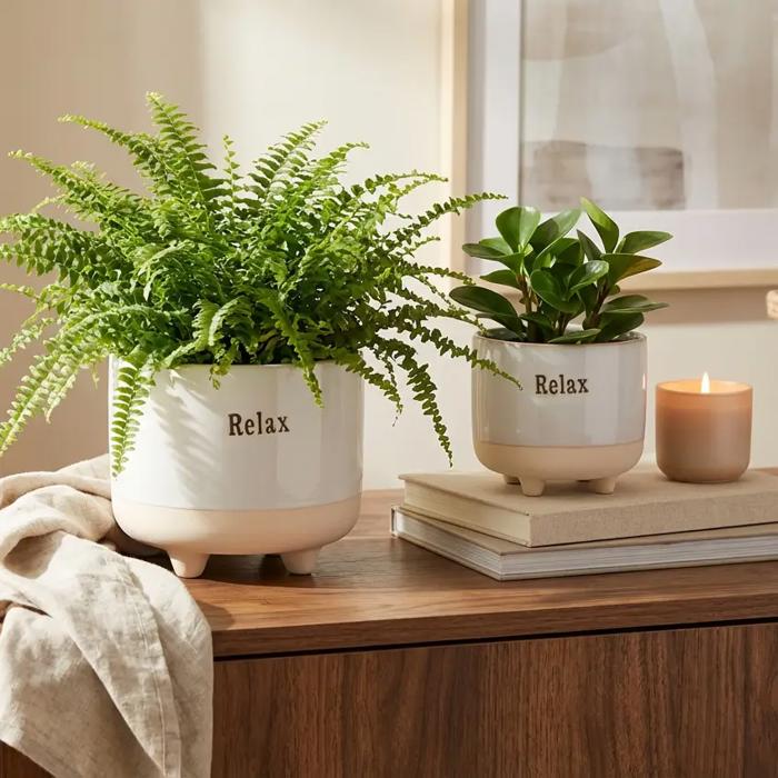 Set of 2 Relax Footed Planters