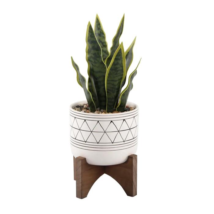 Snake Plant in Black Geo Planter