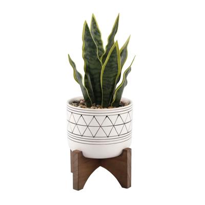 Snake Plant in Black Geo Planter