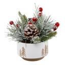  Xmas Mix in 4.25" White Reverse Tree Planter 