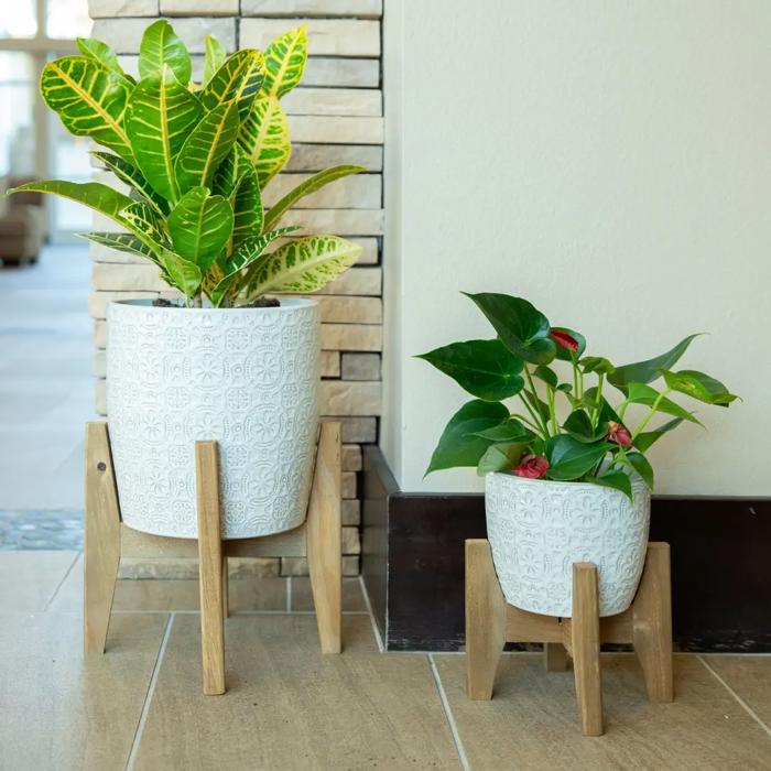 Set of 2 10" & 8" Cathedral Ceramic Planters