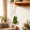  Hanging Bunny Terrarium with Faux Succulent