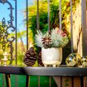  8" Mini Deer Ceramic Planter