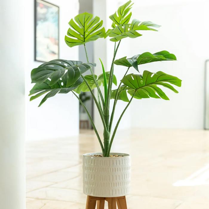 32" Split-leaf in 8" Raindrop Planter