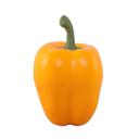 Yellow Artificial Bell Pepper