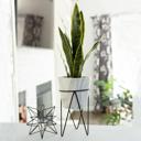  21" Snake Plant in Marble Planter