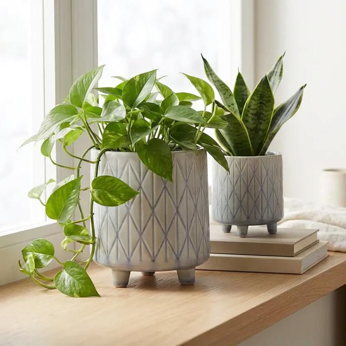 Set of 2 Diamond Footed Planters