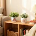  Set of 2 Rainbow Planters