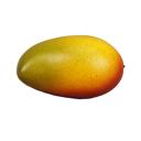  Artificial Mango (GN/BGD/YL)