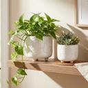  Set of 2 Hamsa Hand Footed Planters 